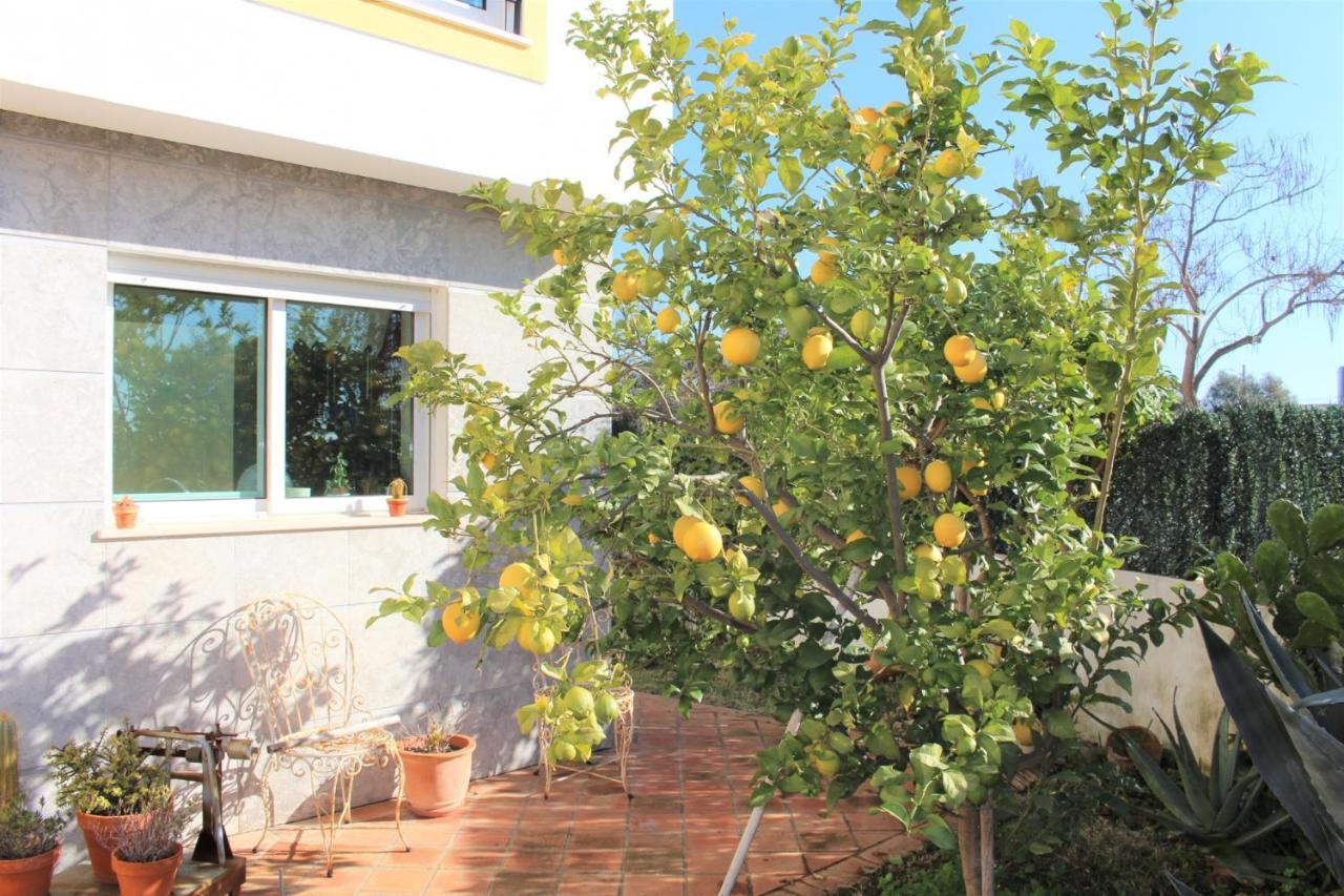 Villa Do Limao Tavira Exterior foto